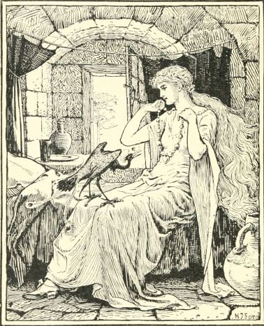 Illustration for Donkey-Skin